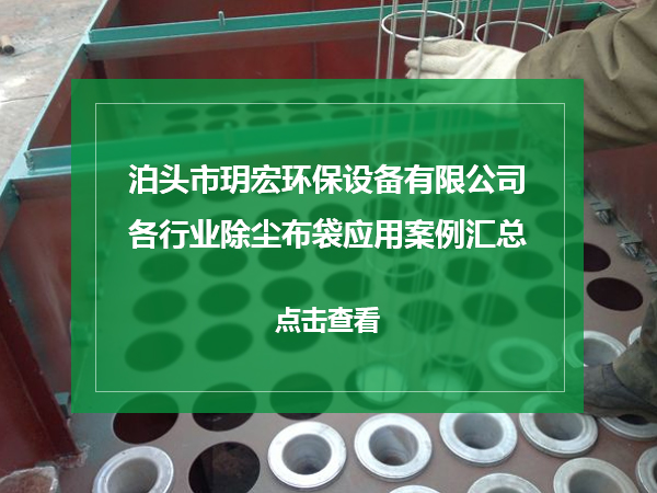 除塵布袋應(yīng)用案例匯總